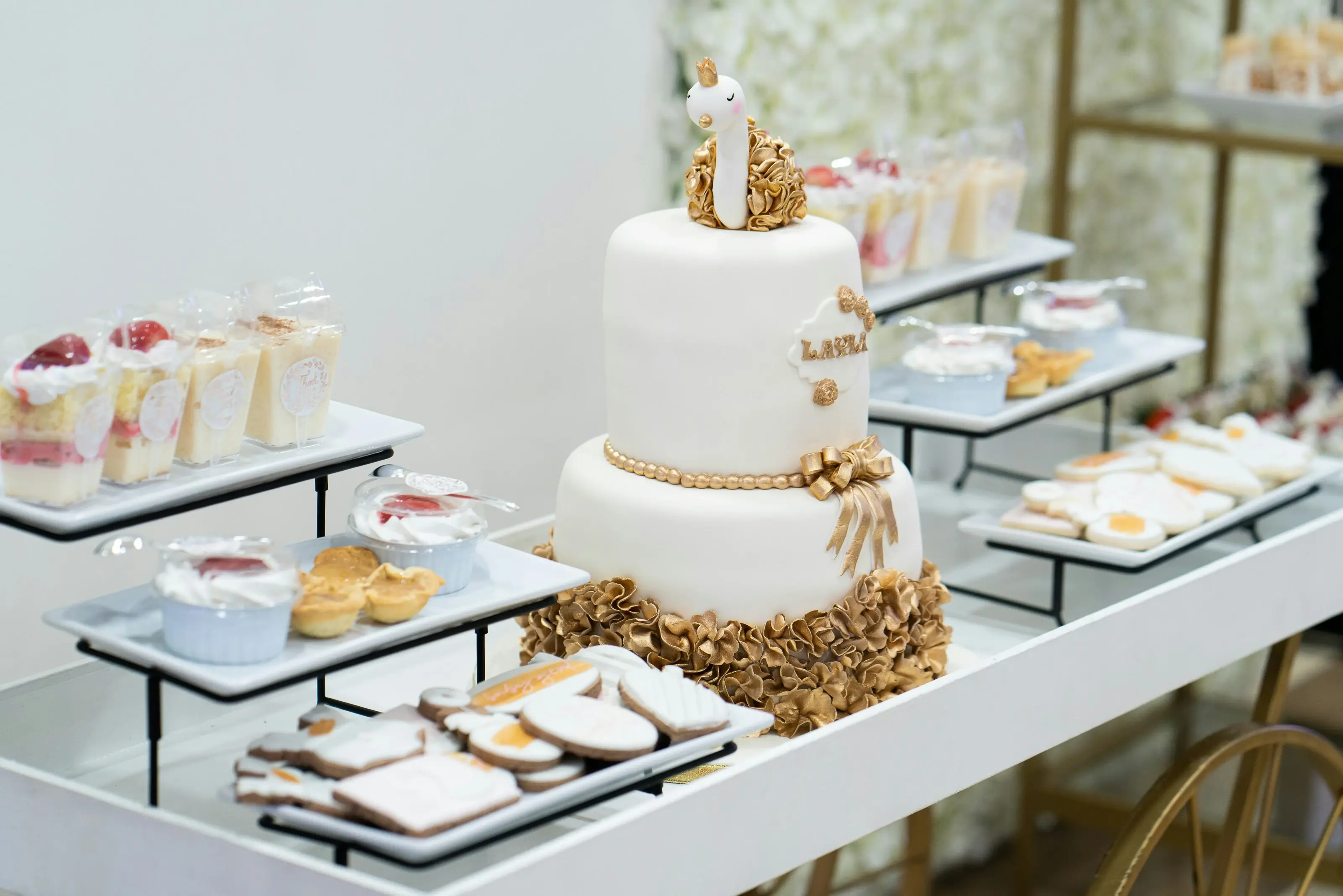 custom dinnerware collection